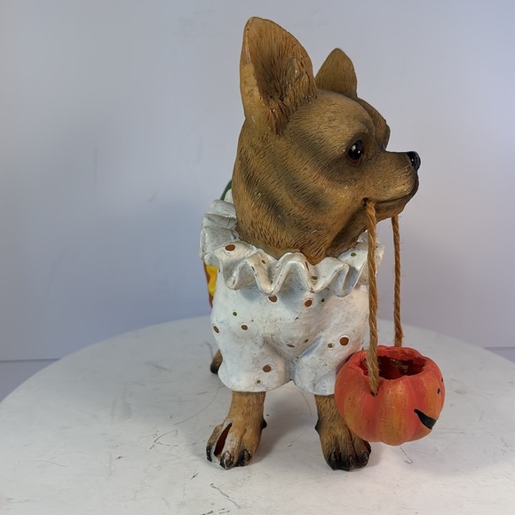 “Too Cute To Spook” Chihuahua in Costume with Jack O Lantern Crackers Barrel - Picture 4 of 6